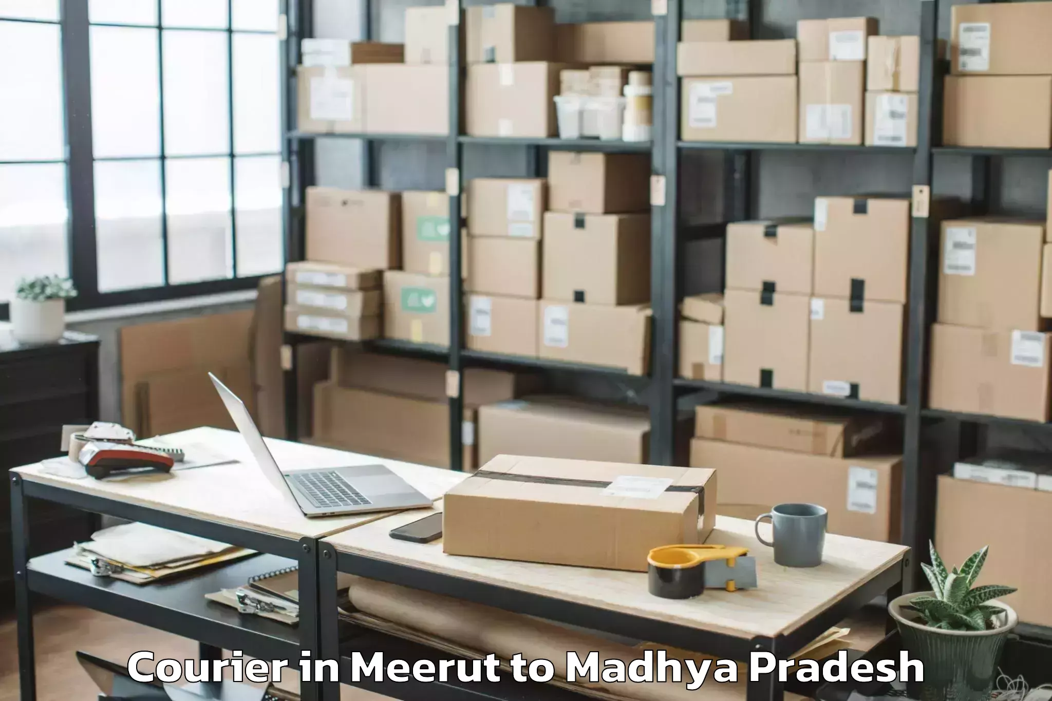 Book Meerut to Manpur Courier